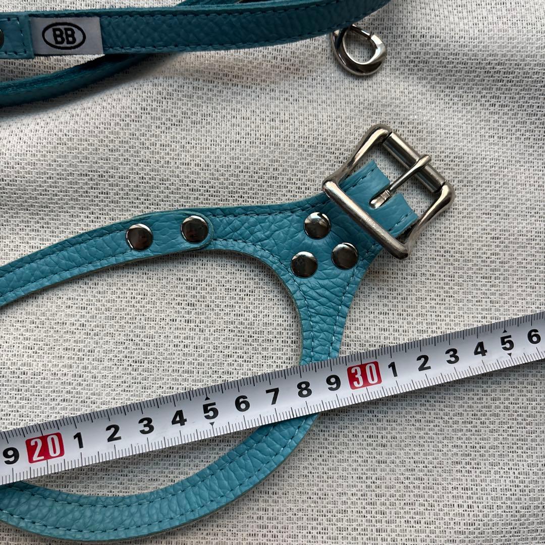 美品バディーベルト&レザーリードセット