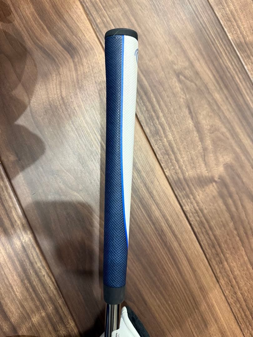 ODYSSEY オデッセイ 日本正規品 AI-ONE エーアイワン シルバー＃1