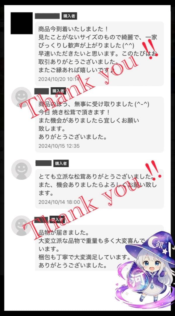 【大人気‼︎ 厳選 つぼみ&開き380g】本日採れ‼︎ 国産 松茸◆クール便発送◆