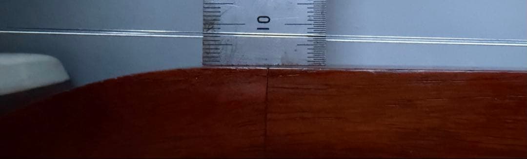 三味鉄弦　レア楽器　ピックアップ装備　ハードケース付