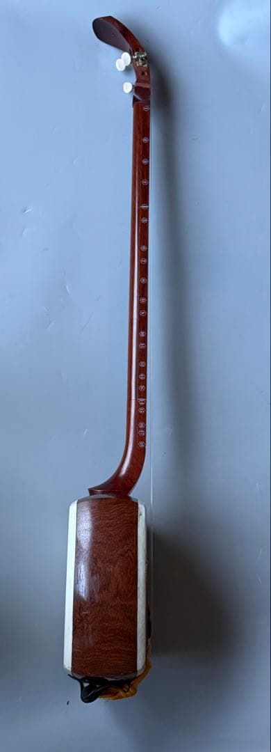 三味鉄弦　レア楽器　ピックアップ装備　ハードケース付