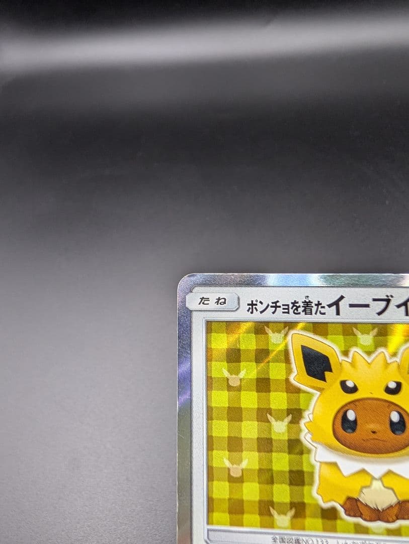 ポンチョを着たイーブイ サンダース プロモ