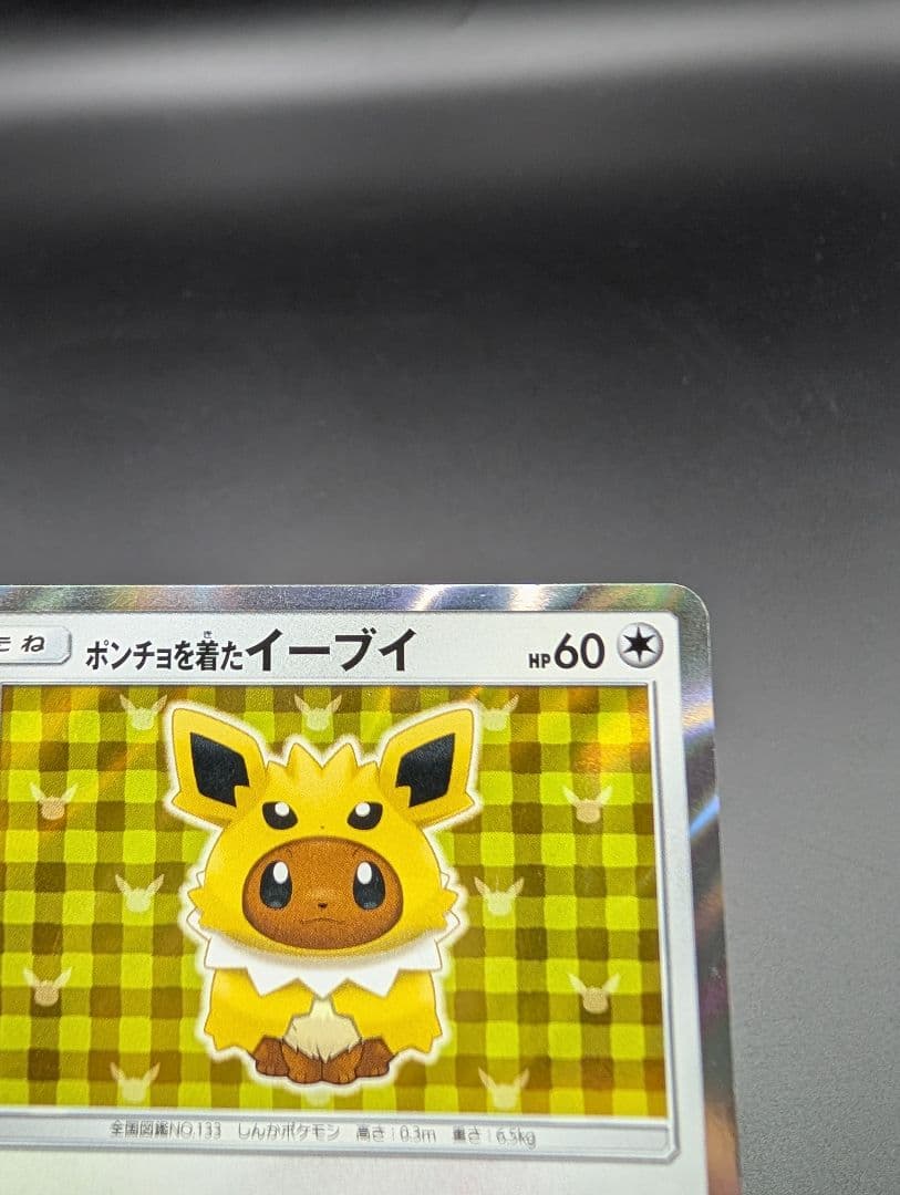 ポンチョを着たイーブイ サンダース プロモ