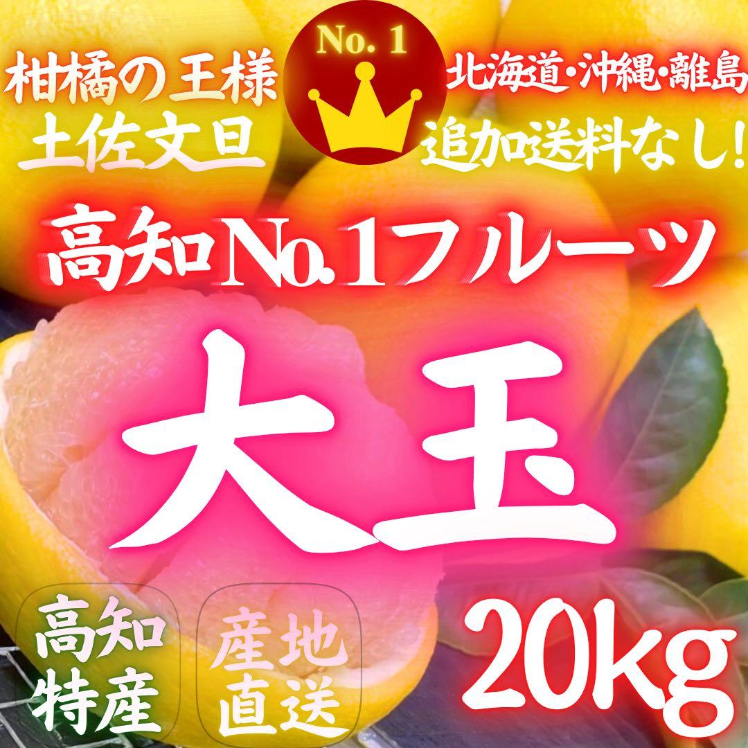 46高知特産 露地栽培 土佐文旦 3L4L文旦 約20kg 大玉 サイズ