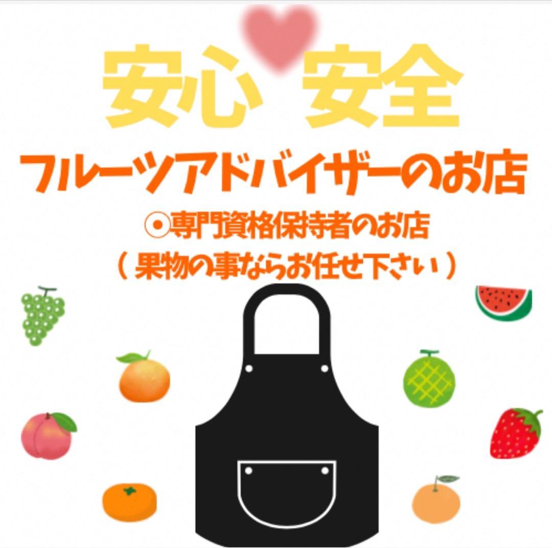 46高知特産 露地栽培 土佐文旦 3L4L文旦 約20kg 大玉 サイズ