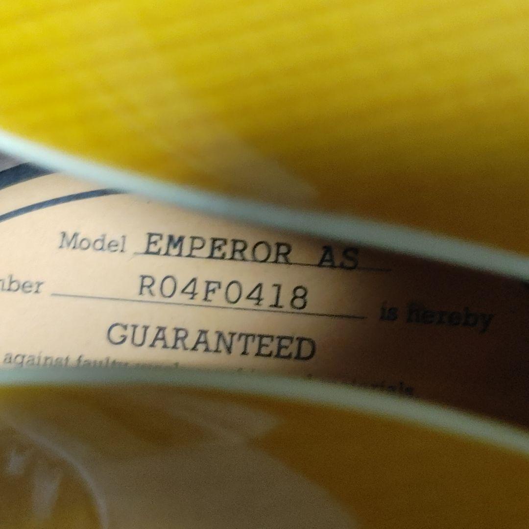 Epiphone Emperor AS Regent 2005年購入