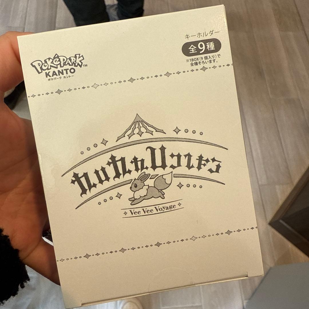 ポケパークカントー 9種コンプ ポケパーク キーホルダー イーブイ ポケモン