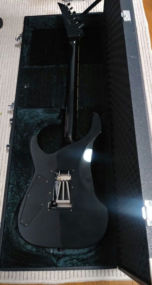 ESP HORIZON ホライズン　セイモアダンカン