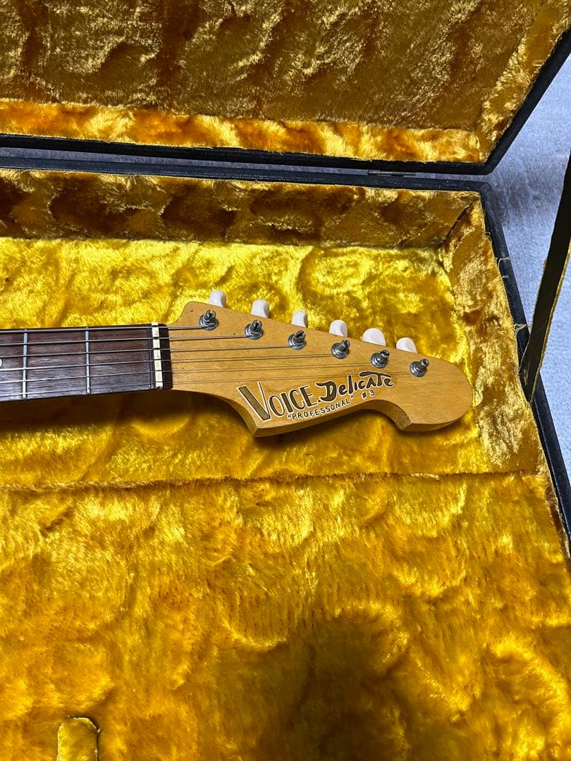 j*9様 【希少】VOICE DELICATE PROFESSONAL #3 エ