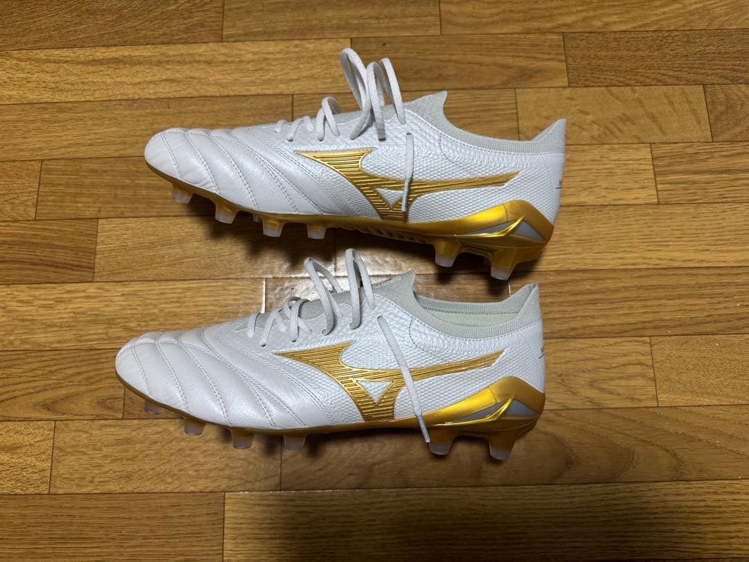 モレリアネオ4β