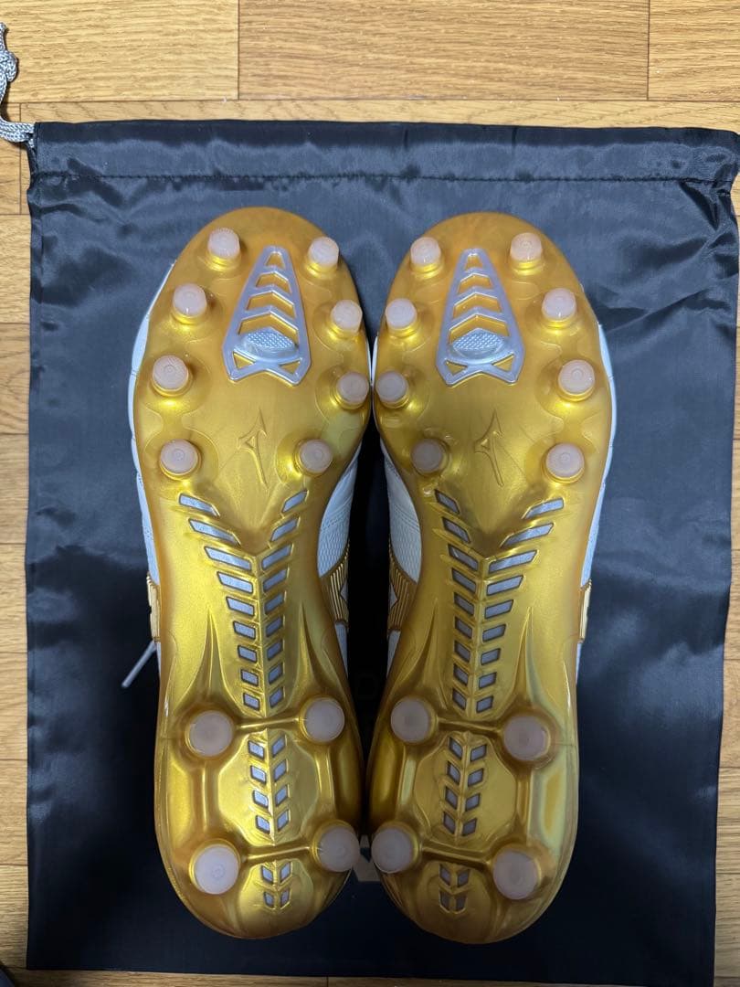 モレリアネオ4β