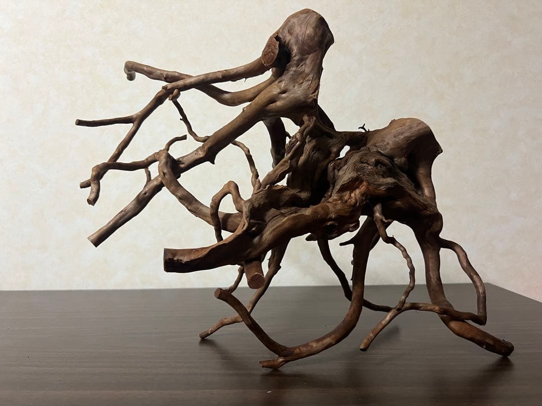 32205 ブランチウッド　流木　アクアリウム 沈水確認済