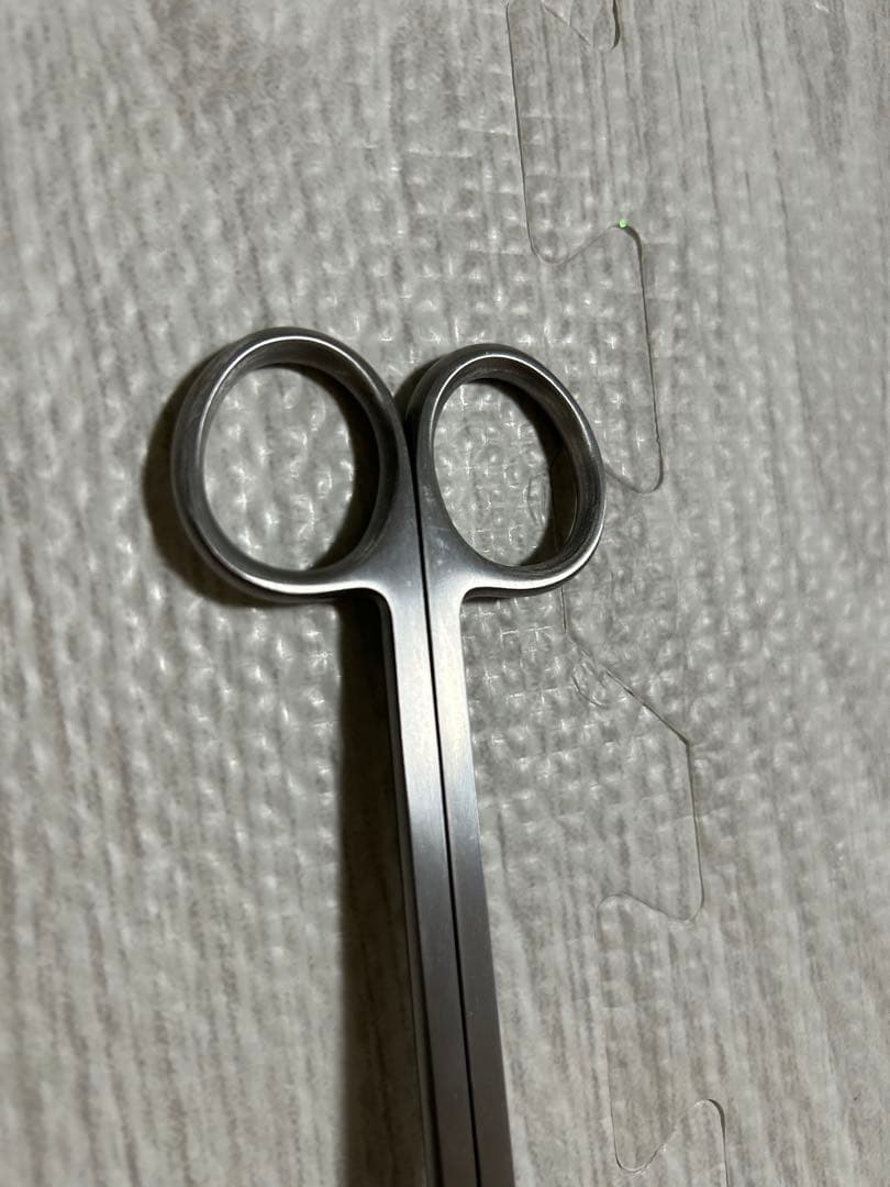 ADA プロシザース・ヌード