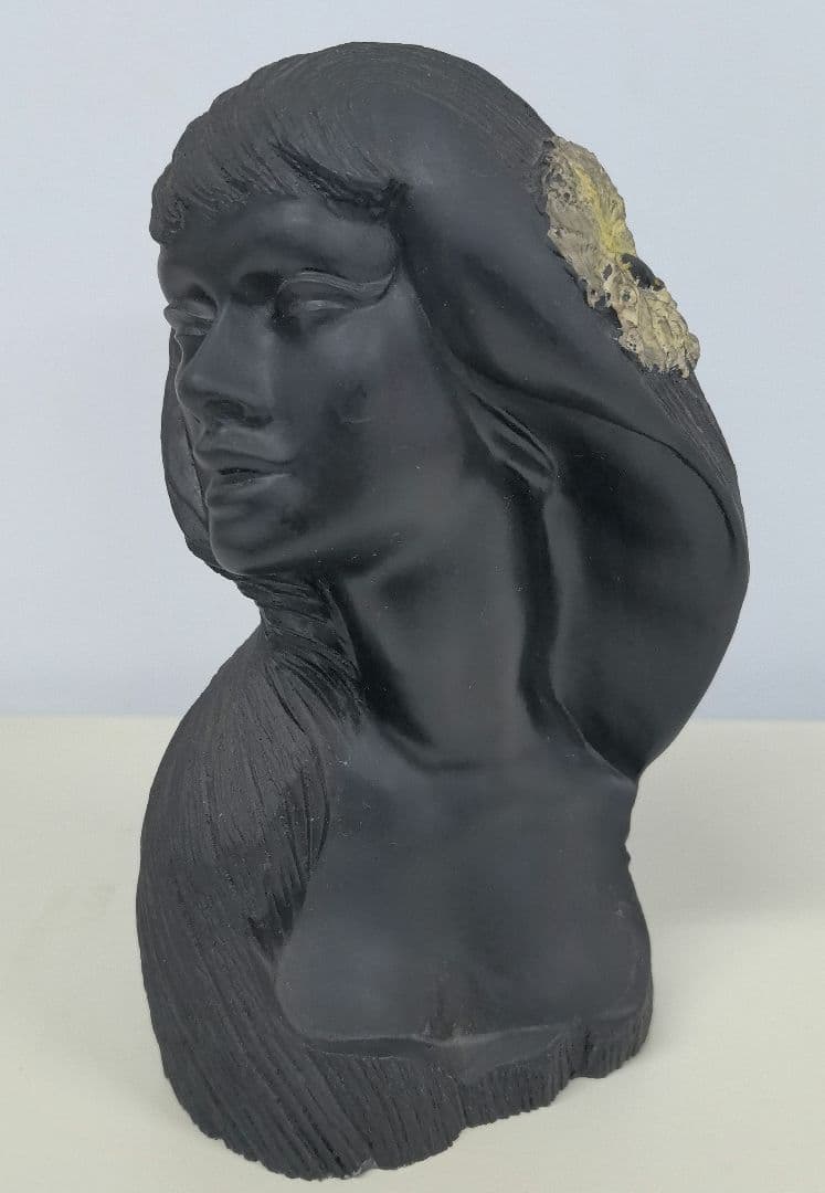 ハワイのフラの女神「ラカ」　黒珊瑚礁