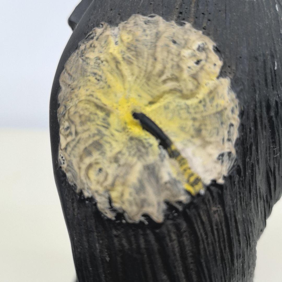 ハワイのフラの女神「ラカ」　黒珊瑚礁