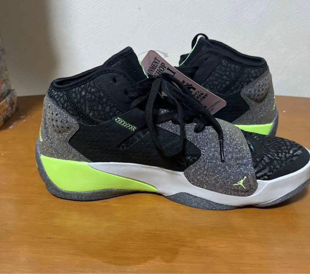 美品NIKE JORDAN ZION 2 PF DV0550-030 28.0㎝