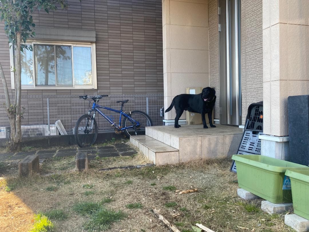 送料負担　MTB CANNONDALE F300キャノンデール　（中古・傷アリ）