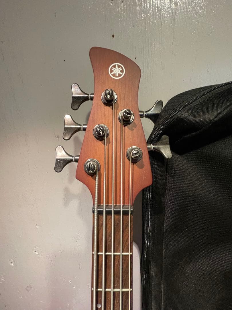 YAMAHAヤマハTRBX505５弦ベース➕VOX AP2-BS 専用ケース