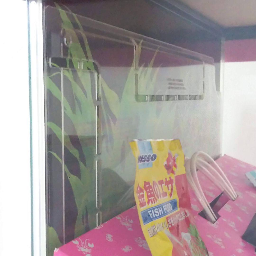 水槽セット 23L エアーポンプ フィルター 人口水草 餌 カルキ中和剤等計9点