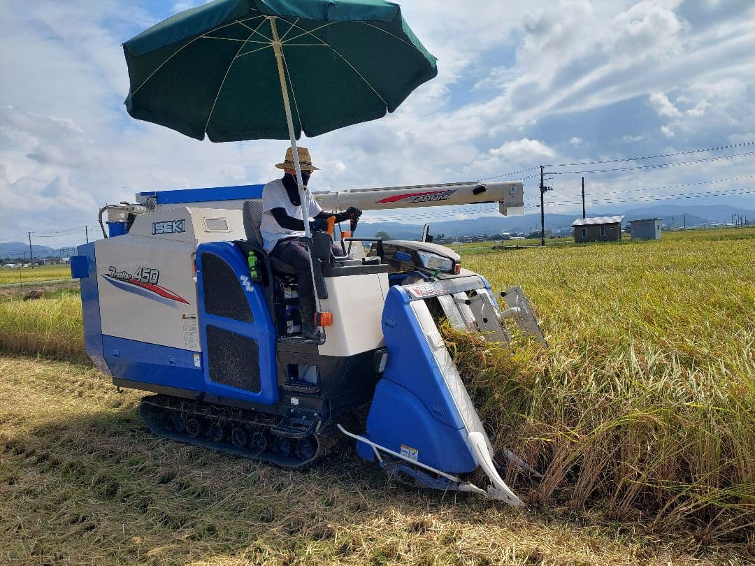 新潟県産 コシヒカリ 特別栽培米 20kg　７年産