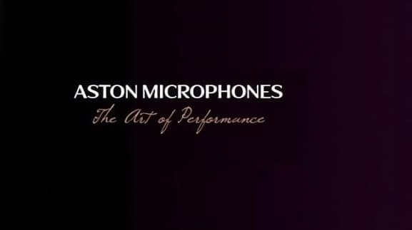 Aston　Stealth　マイクプリ内蔵　サイドマウントホルダー付(ワンオフ)