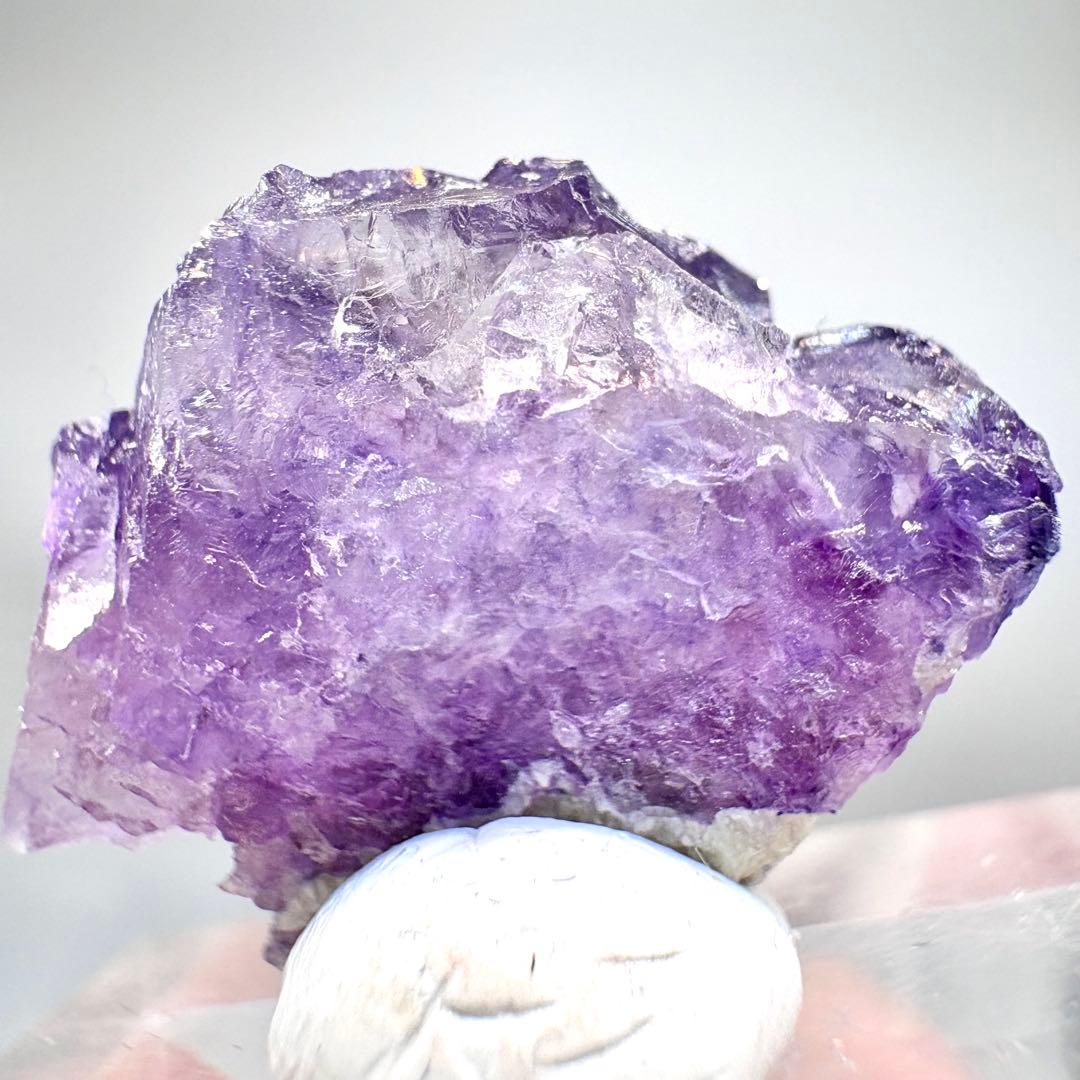 547 中国 内モンゴル産 フローライト&パイライト