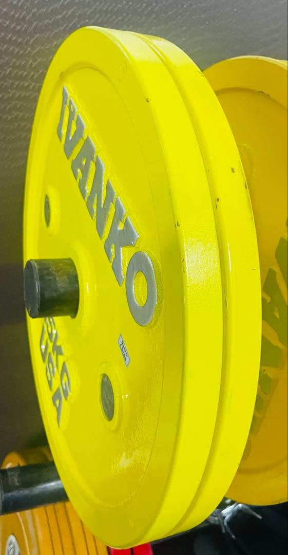 IVANKO イバンコ15KG バーベルプレート2枚