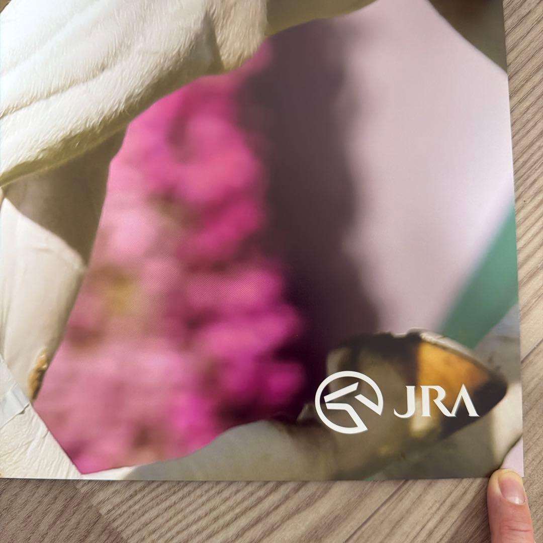 ヒーロー列伝 ソダシ ポスターB1サイズ