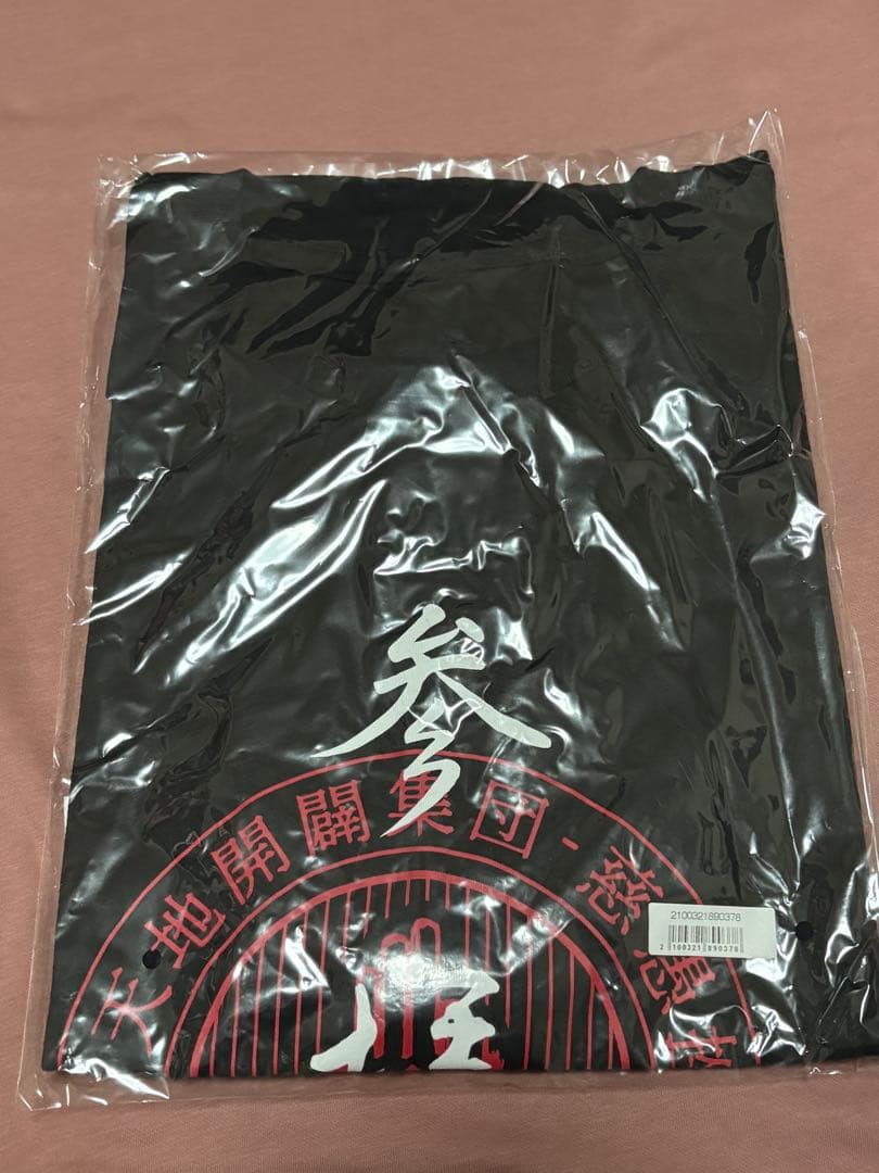 真天地開闢集団-ジグザグ - 古　Tシャツ