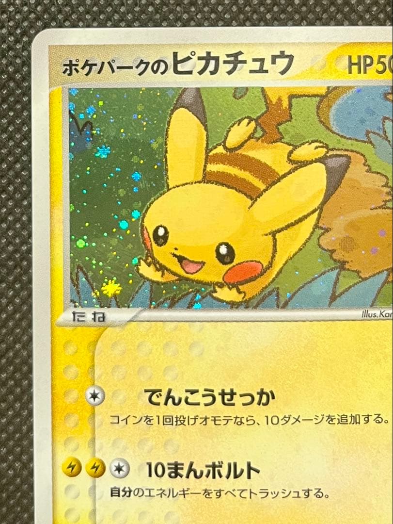 ポケパークのピカチュウ 004/009