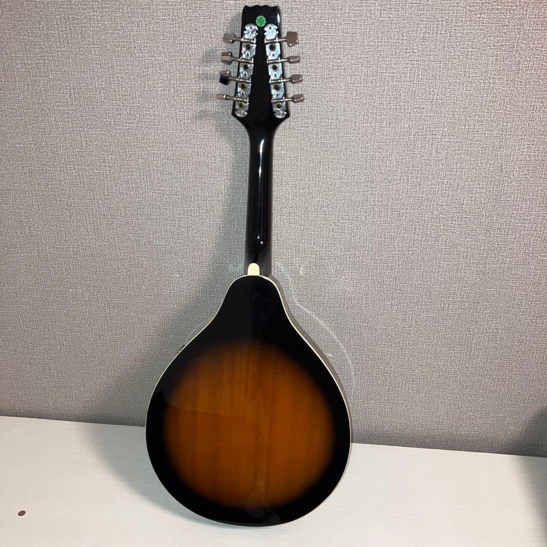【美品】アリア マンドリン MANDOLIN ARIA AM-20 弦楽器