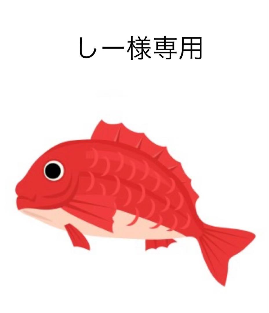 タイラバ　タングステン　しー