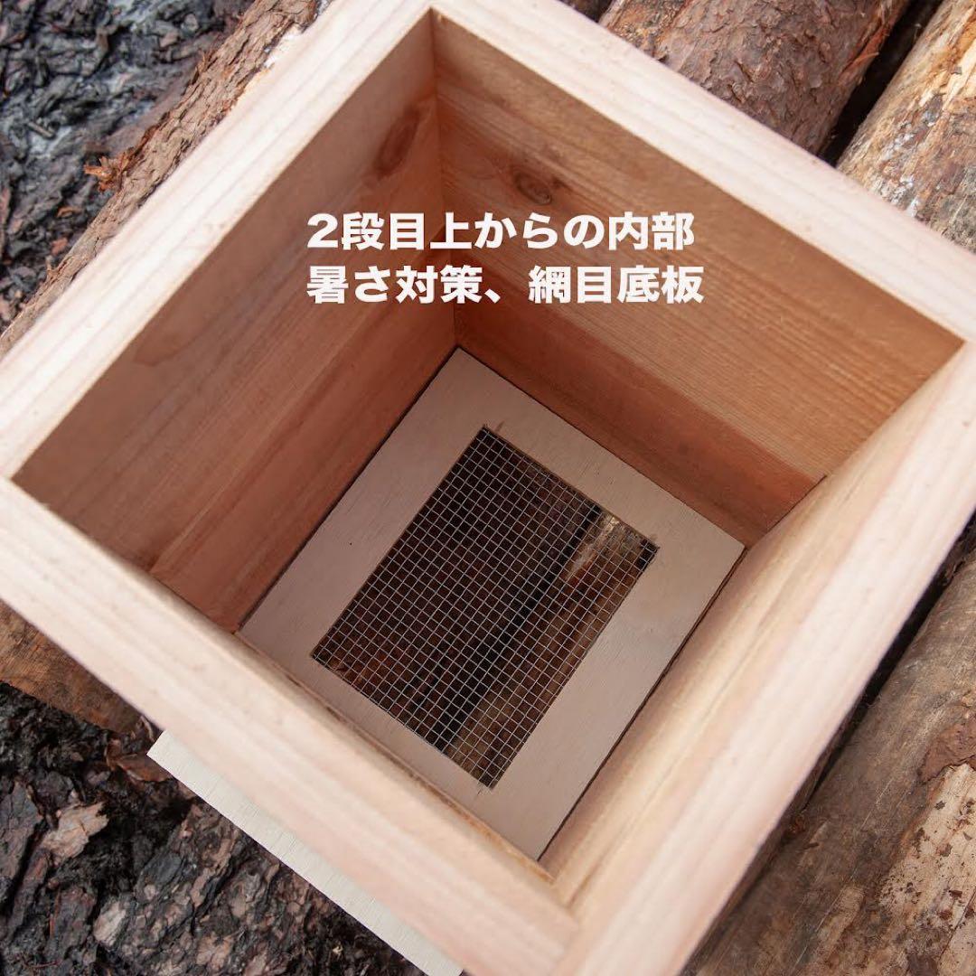 日本みつばち用 伝統の3段重箱270mm