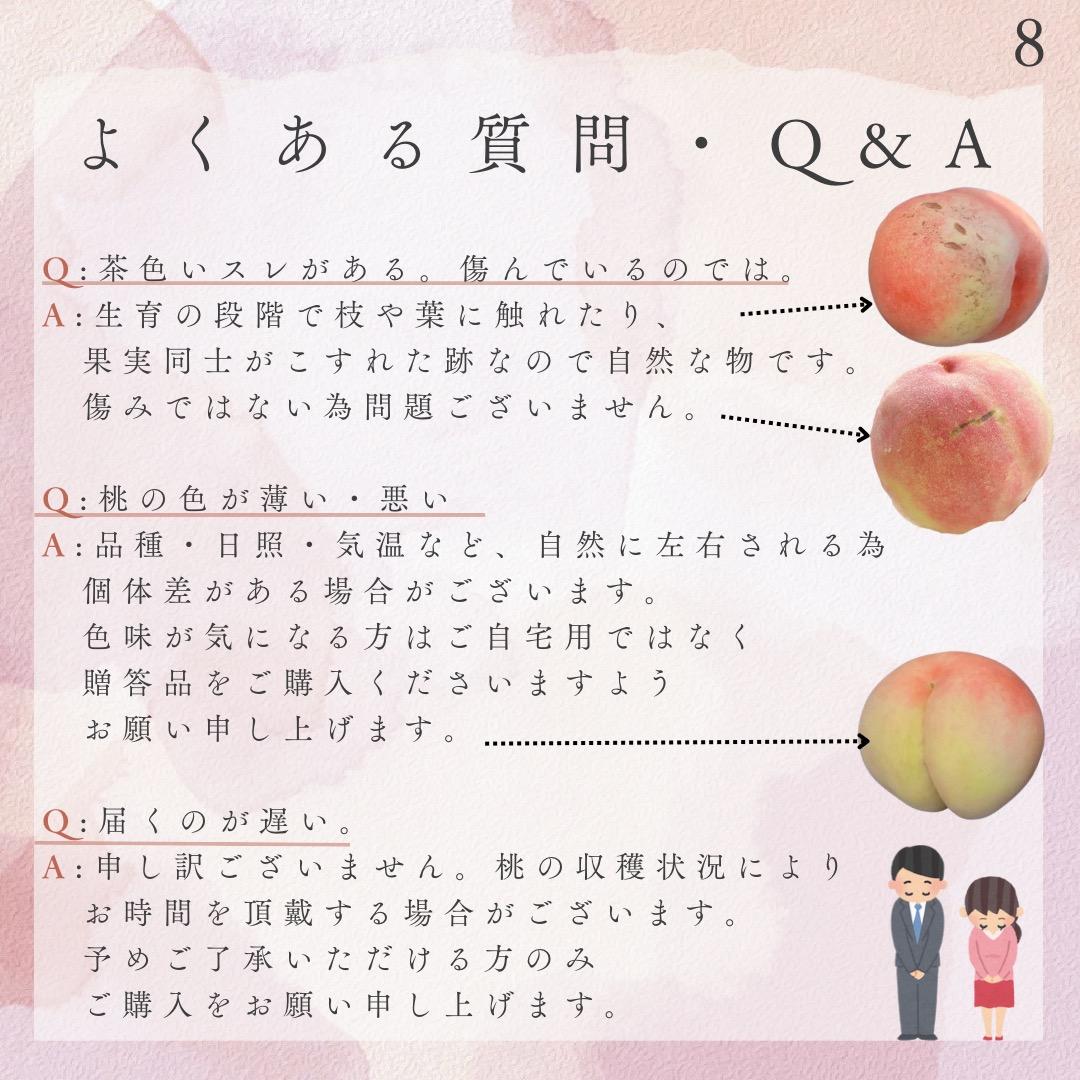 【リピ割】ことり 自宅用【幸茜10kg 約24-36個】