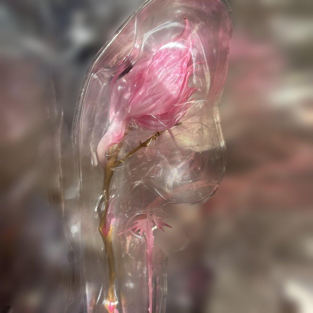 【未開封】魔法少女まどか⭐︎マギカULTIMATE Madoka 1/8スケール