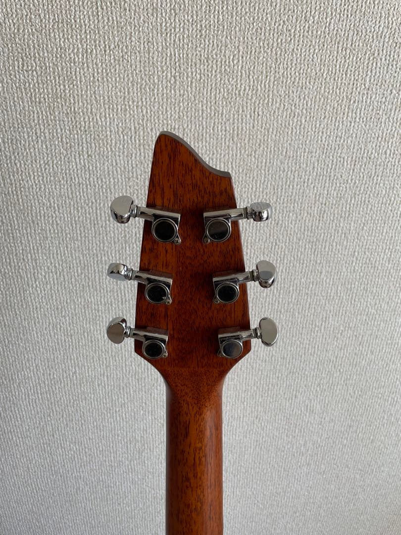 Breedlove Passport C25CE FS｜ワンオーナー｜エレアコ
