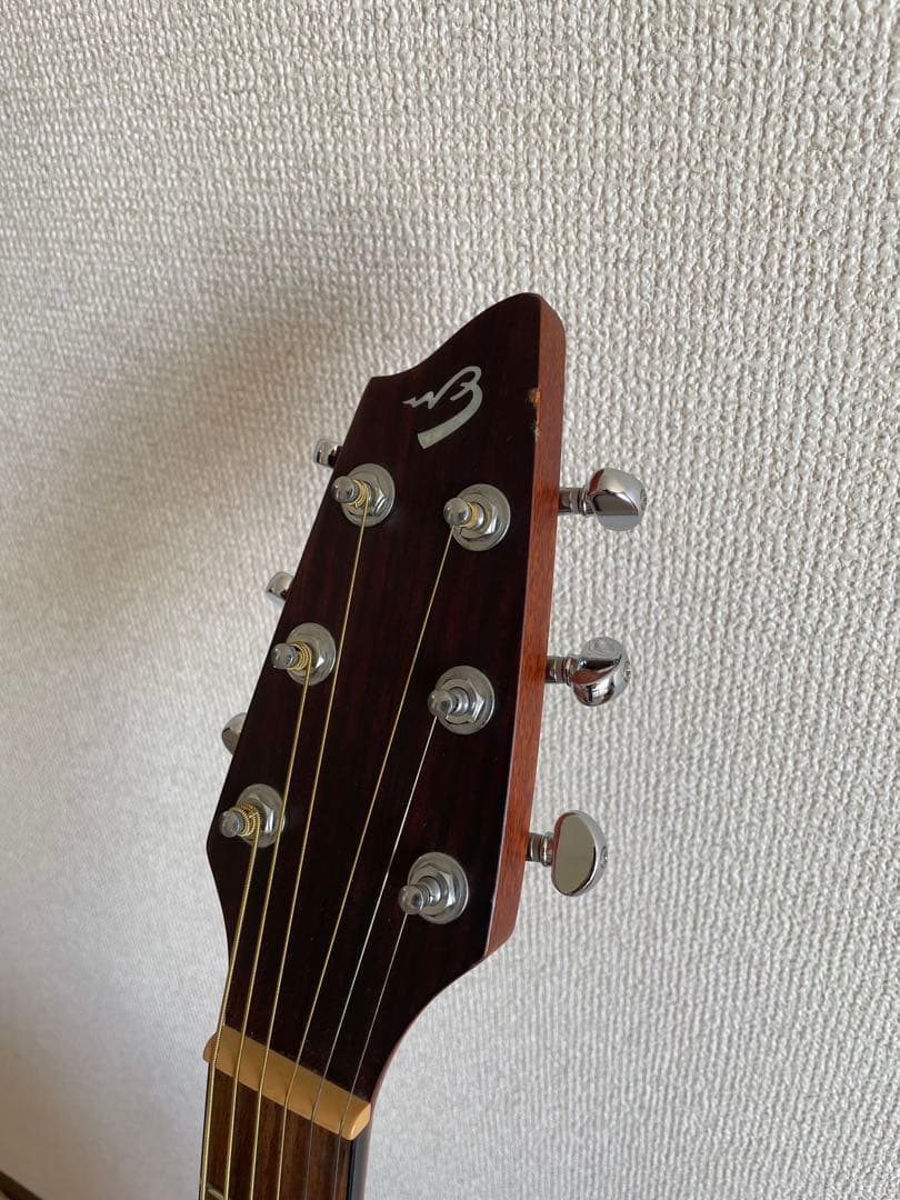 Breedlove Passport C25CE FS｜ワンオーナー｜エレアコ