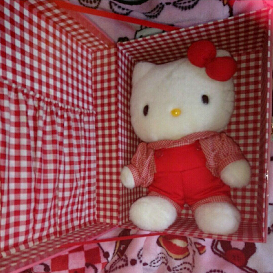 希少☆アンティークハローキティシリアルナンバー入りぬいぐるみ※専用Box付