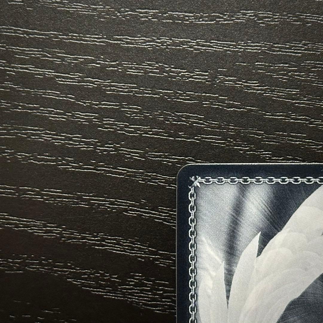 WS B小町 アイ SSP