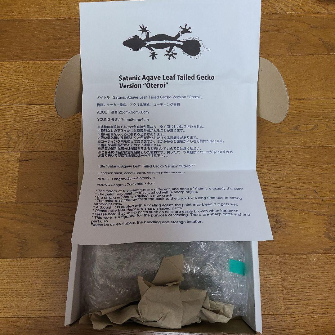 owzrt オズワートGecko Oteroi Satanic Agave