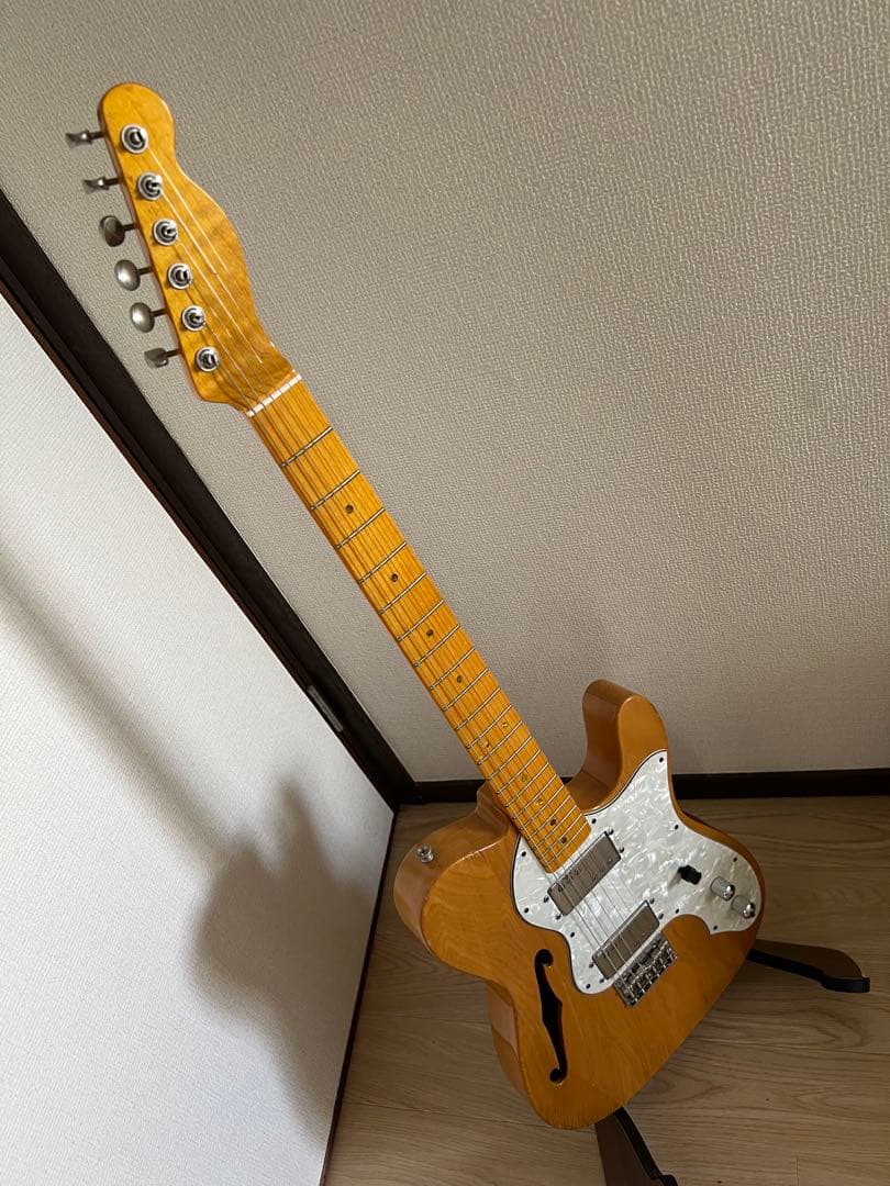 ARIA Pro2 backaroo テレキャスターシンライン