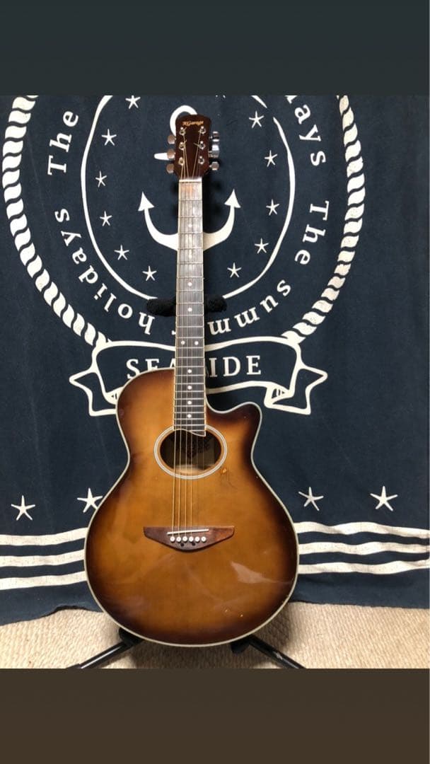 今月末迄特価‼️初心者の方❣️K galley EA-200 エレアコ 備品セット