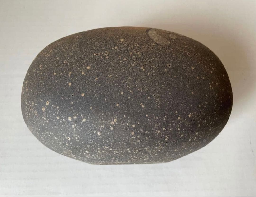 神谷英介　彩文扁壺