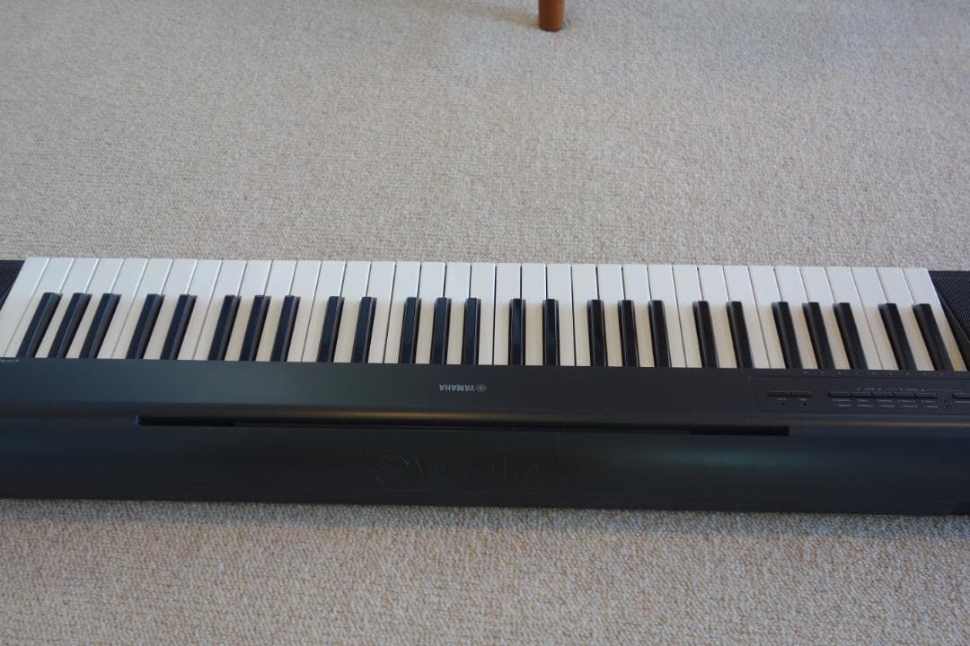 【美品】　ヤマハ Piaggero NP-12B 2022年製 純正ケース付