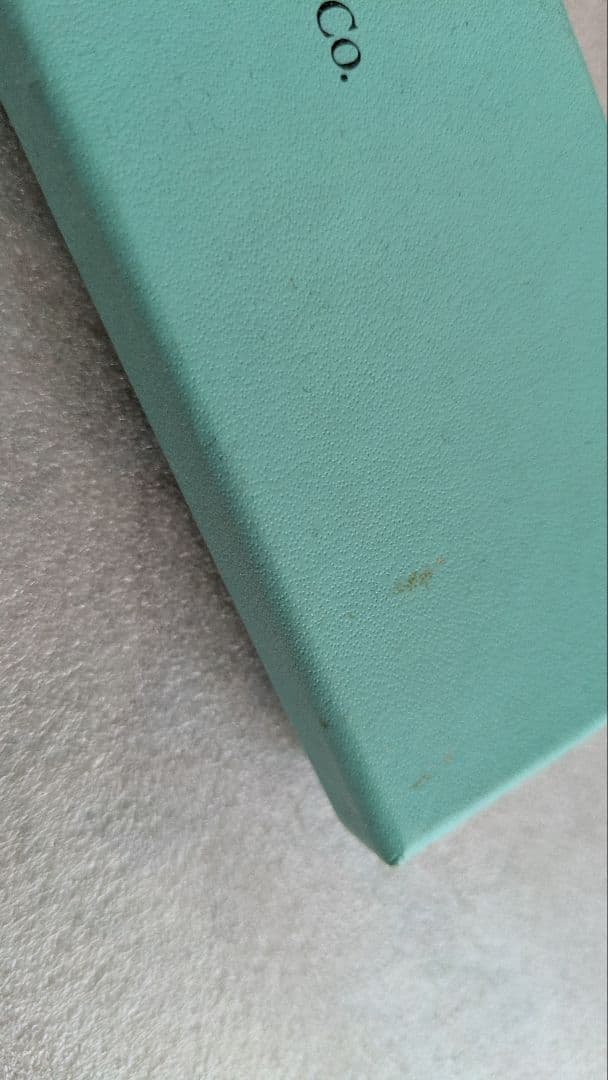 ティファニー　柄ペン　スターリングシルバー