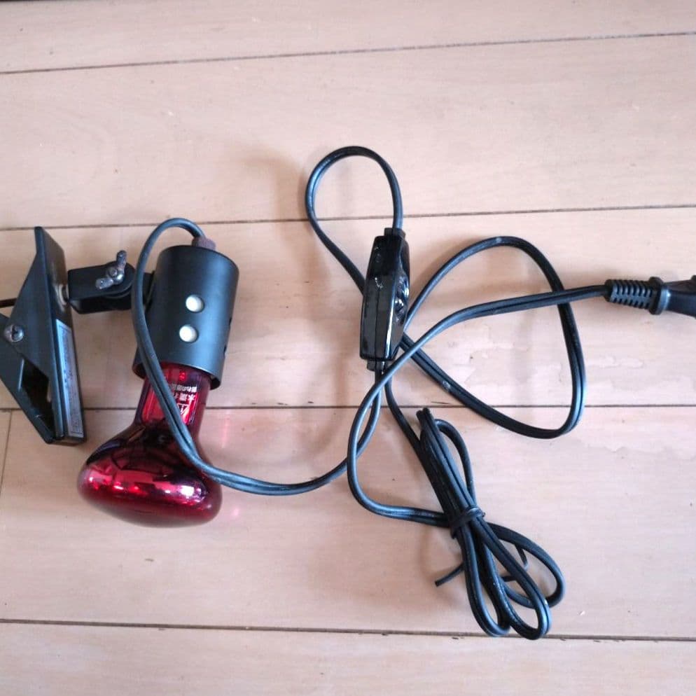 【爬虫類・両生類】NISSO 飼育ケース60センチ＆保温グッズ他