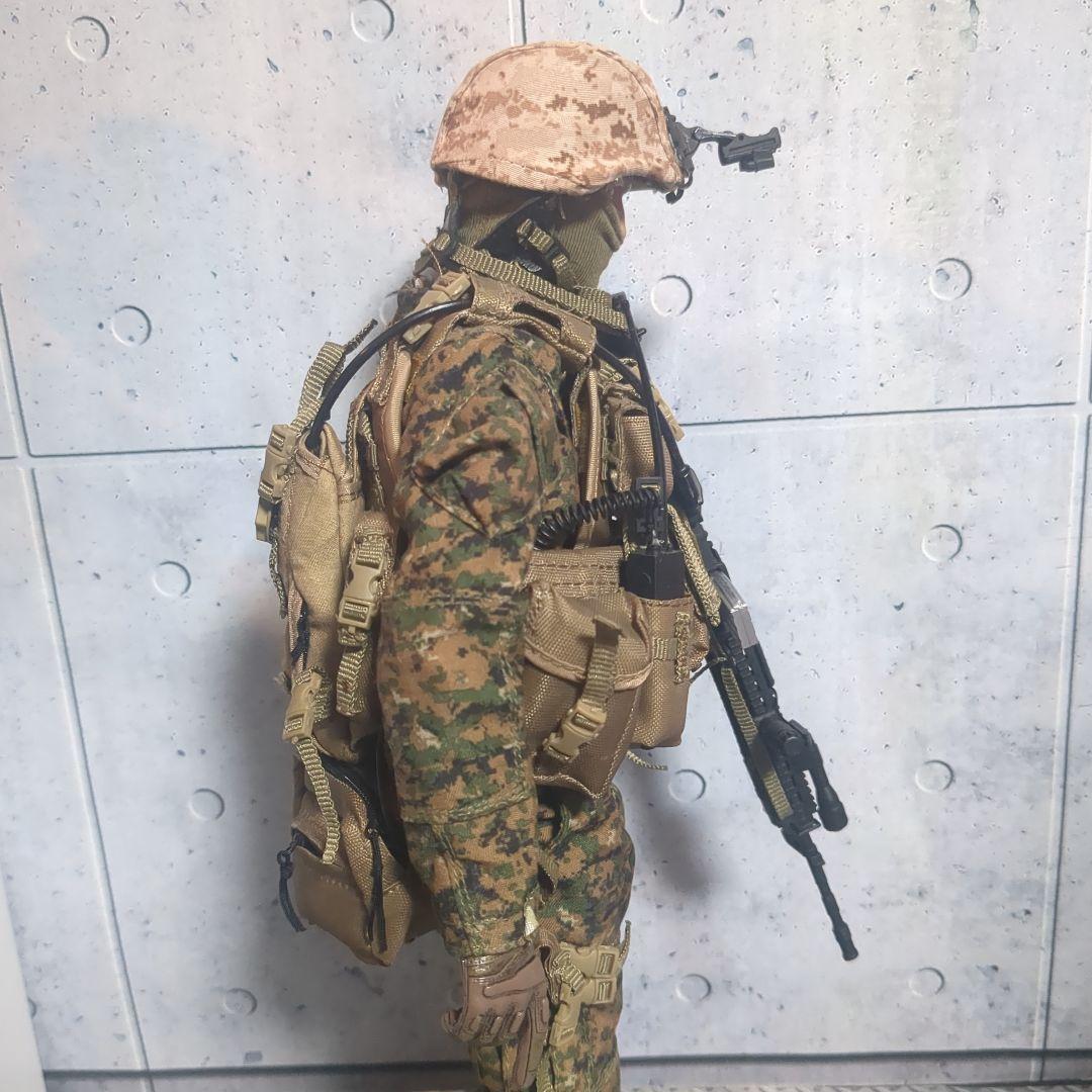 1/6 12インチ アメリカ軍 USMC カスタムフィギュア CS110