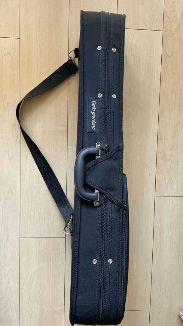 カルロ・ジョルダーノ　エレクトリックバイオリン EV-202