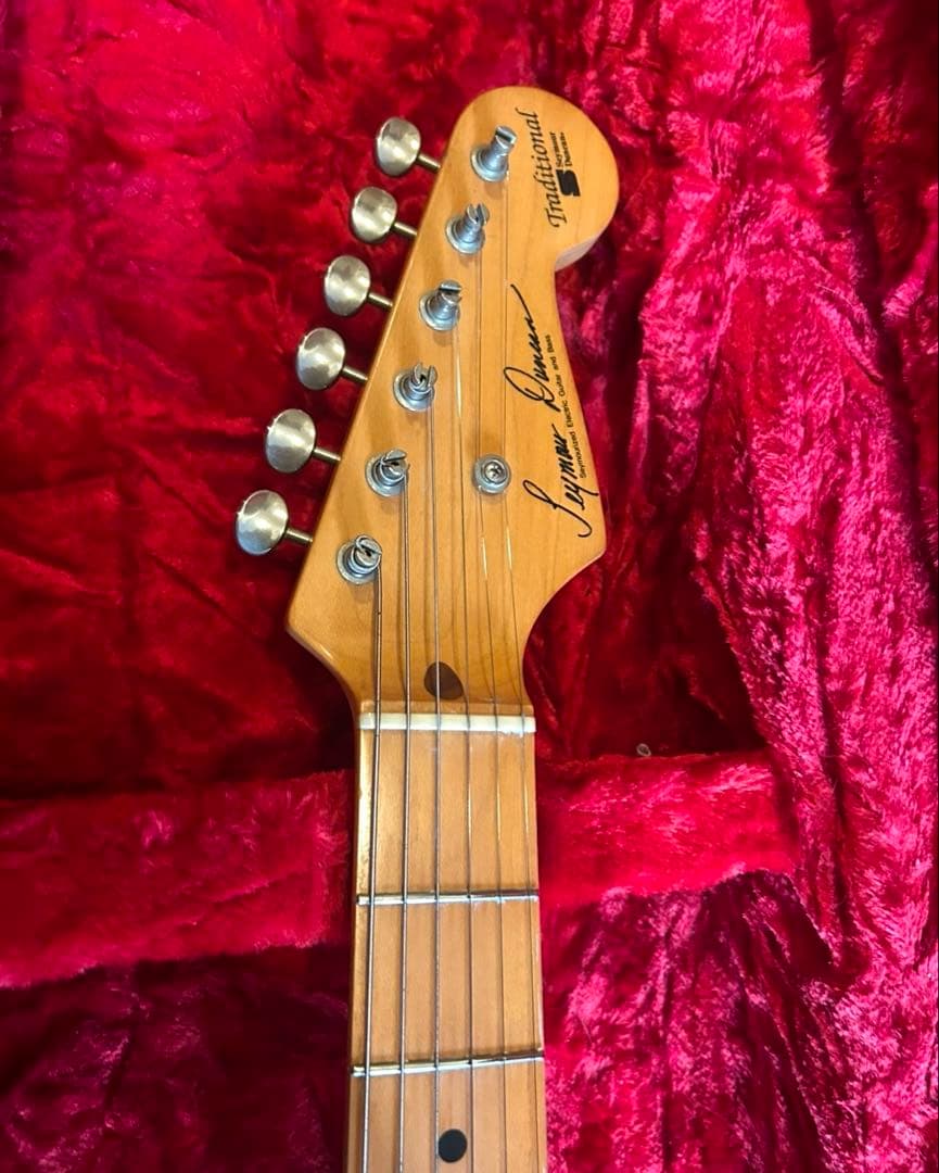 鬼虎目ネック！seymour duncan DS traditional