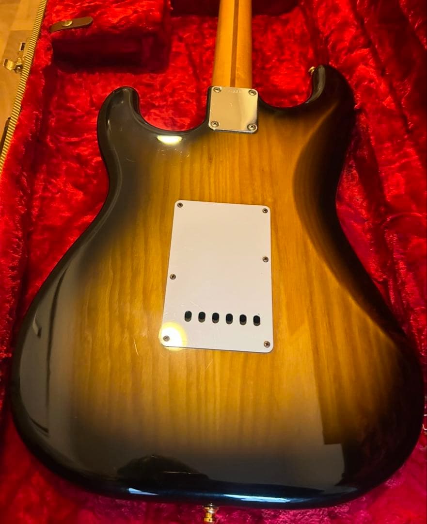 鬼虎目ネック！seymour duncan DS traditional